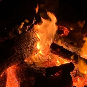 Meet your Posher, Kyla